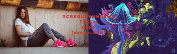 индика Алексин