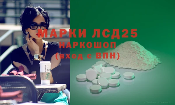 индика Алексин