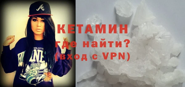 индика Алексин