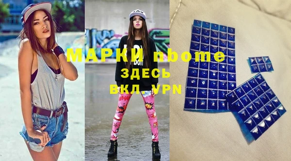 индика Алексин