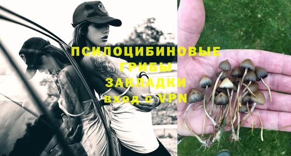 хмурый Алексеевка