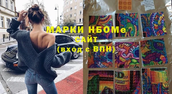 индика Алексин