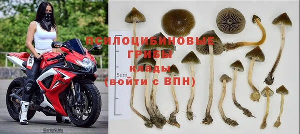 индика Алексин