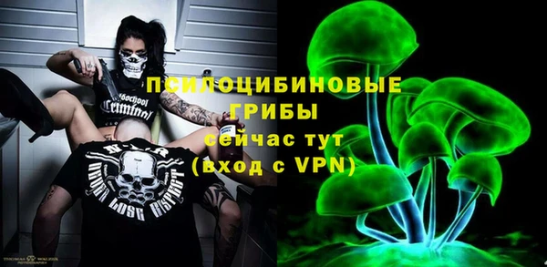 хмурый Алексеевка