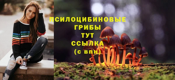 a pvp Алзамай