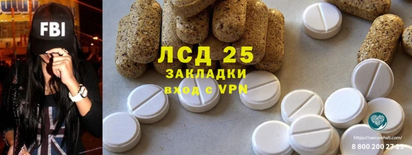 индика Алексин