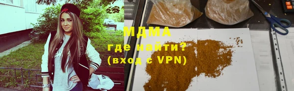 индика Алексин