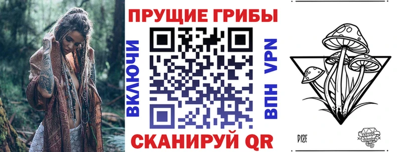 закладки  Бийск  Псилоцибиновые грибы Magic Shrooms 