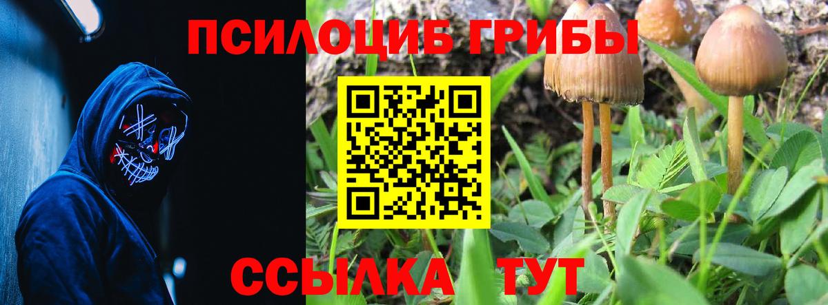 Меф мяу мяу Бийск