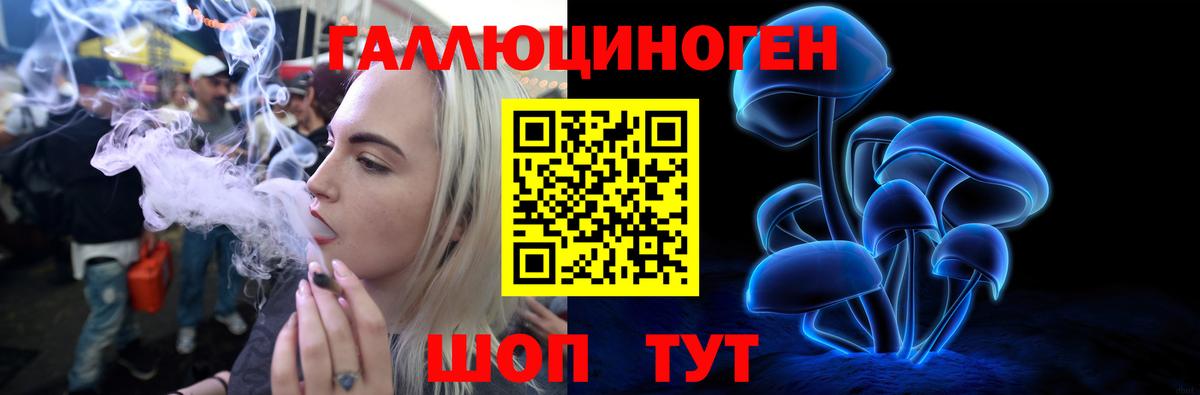 Галлюциногенные грибы мухоморы  Вход с VPN  Бийск 